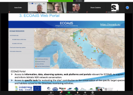 Predstavljena platforma ECOAds